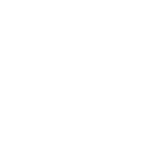 動画を再生する